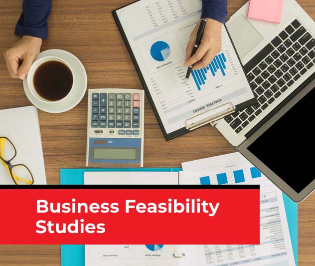business-feasibility-studies